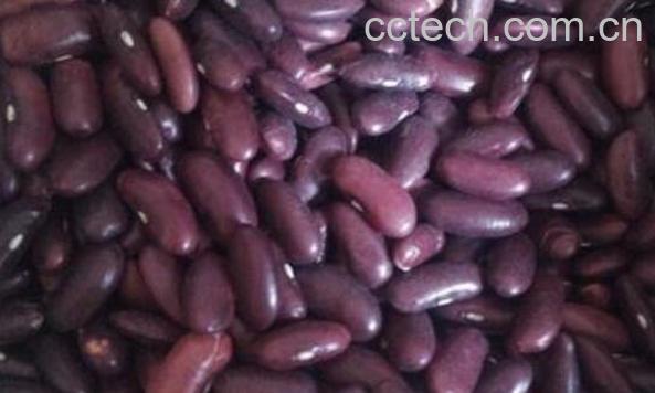 熟的紫芸豆怎么吃 紫芸豆怎么做好吃-1