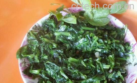 蚕豆叶的功效与作用及禁忌-1