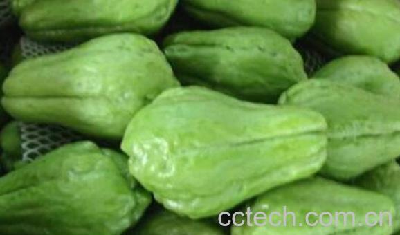 佛手菜的功效与作用 佛手菜的做法-1