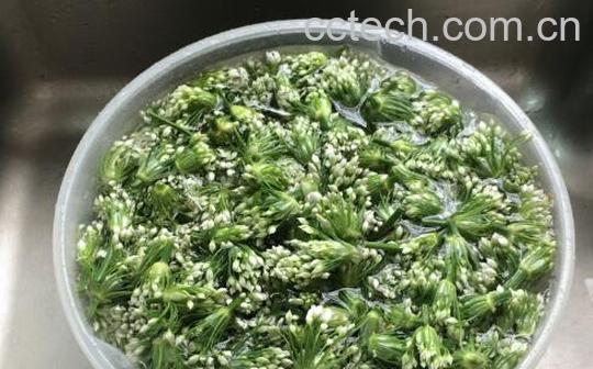 韭菜花酱怎么吃 韭菜花酱的食用方法窍门-1