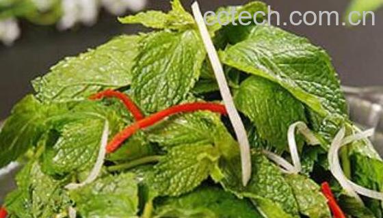 薄荷叶怎么吃好 薄荷叶的食用方法-0