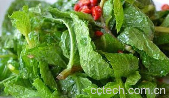 薄荷叶怎么吃好 薄荷叶的食用方法-1