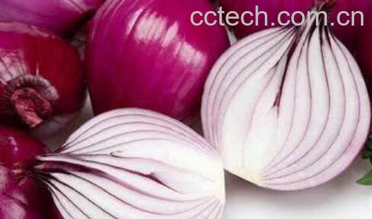 洋葱可直接打汁喝吗 洋葱打汁喝有什么好处-1