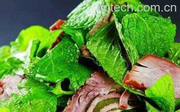 薄荷草怎么吃 薄荷草的家常做法-1