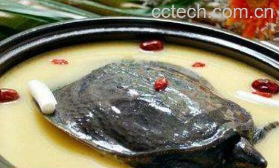 甲鱼油的功效与作用 甲鱼油什么颜色的好-0