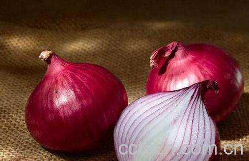 女性吃洋葱的好处 为什么女人不能吃洋葱-1