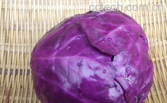 紫白菜的功效与作用-0