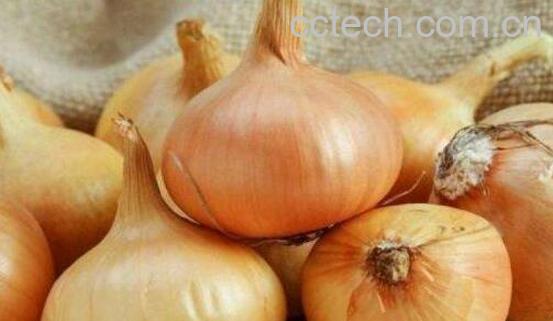 黄洋葱的功效与作用-1