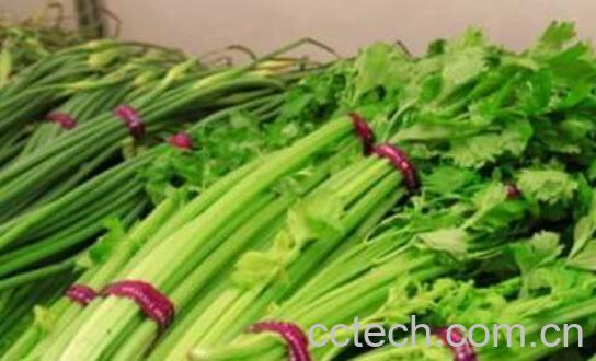 芹菜素的功效与作用-1