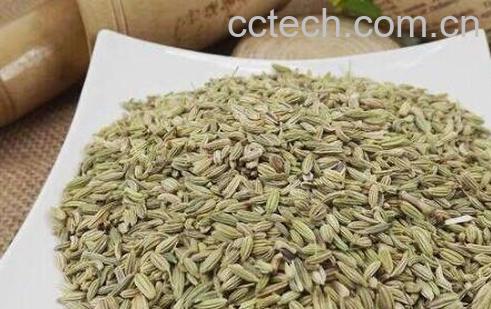小茴香籽的禁忌及副作用-1