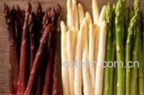 紫芦笋的功效与作用及禁忌-0
