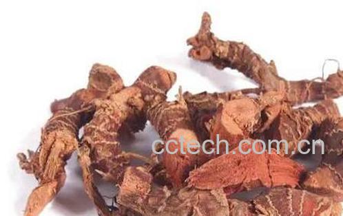 高良姜素的功效与作用-0