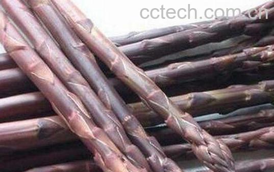 紫芦笋的功效与作用及禁忌-1