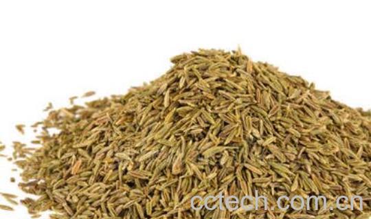 小茴香籽怎么泡水喝 小茴香籽怎么泡水-0