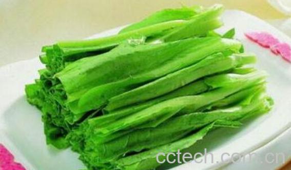 哪些人不能吃油麦菜 油麦菜的副作用有哪些-1