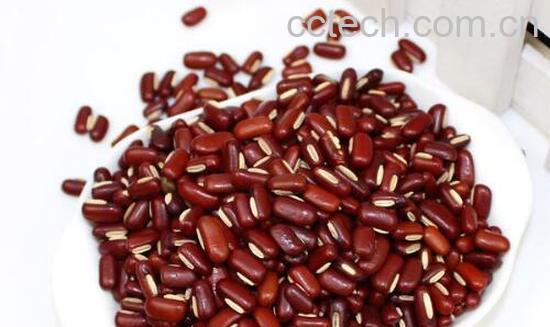 赤小豆和红豆的区别 赤小豆的功效与作用-0