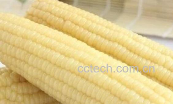 粘玉米的功效与作用 吃粘玉米的好处-1