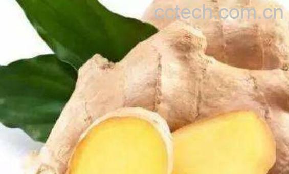 姜对头发有什么作用 如何用姜洗头-0