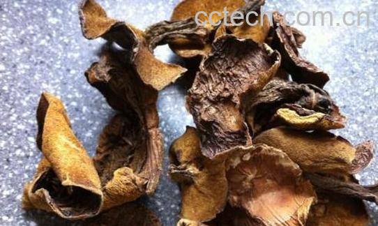 干松蘑如何做 干松蘑的家常做法-0