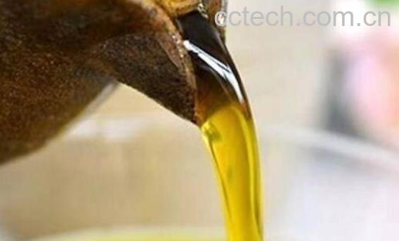 茶籽油护肤使用方法 茶树籽油对皮肤的作用-1