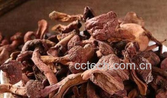 松蘑和什么吃相克 松蘑相克的食物有哪些-1