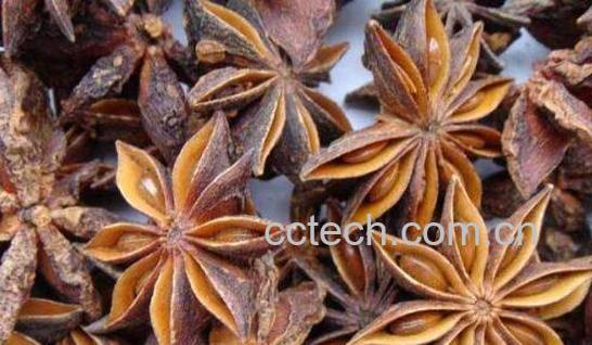 八角的功效与作用及药用价值-0