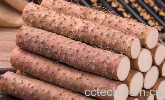 山药过敏什么症状 山药过敏怎么解决-0