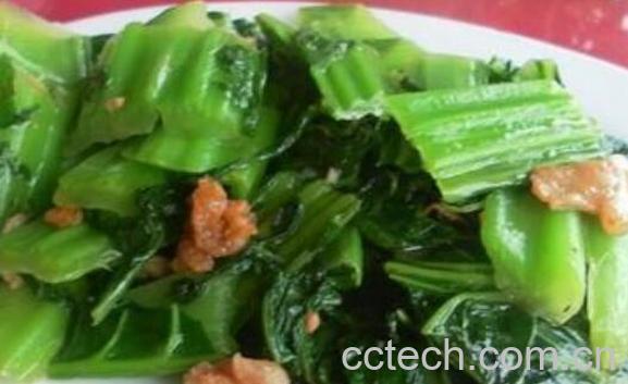 大芥菜的功效与作用-1