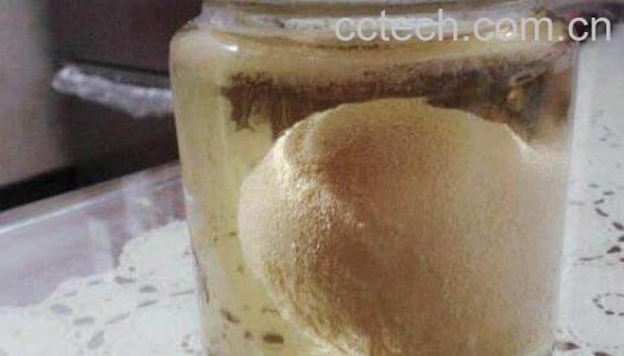 白醋泡鸡蛋的功效与作用-1