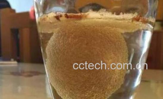 白醋泡鸡蛋的功效与作用-0