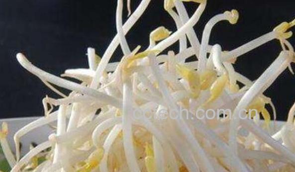 吃绿豆芽的功效与作用 常吃绿豆芽有什么好处-1