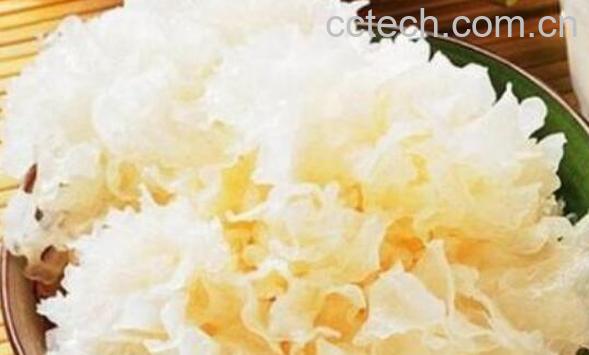 白木耳的功效与作用 吃白木耳的好处有哪些-0