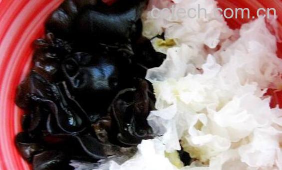 白木耳的功效与作用 吃白木耳的好处有哪些-1