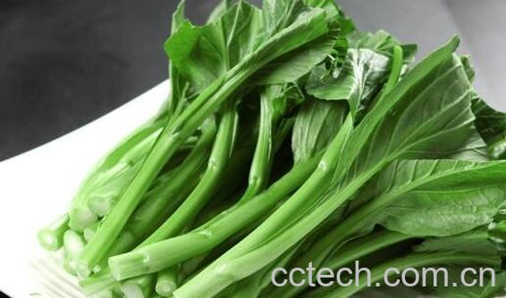 菜心的功效与作用-1
