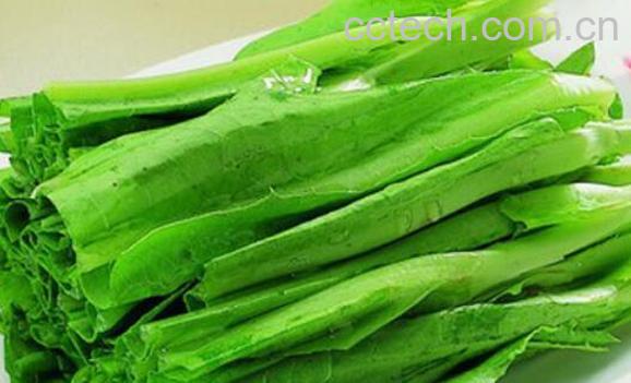 吃油麦菜的功效与作用 吃油麦菜有什么好处-1