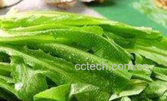 吃油麦菜的功效与作用 吃油麦菜有什么好处-0