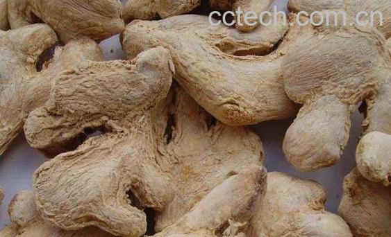 干姜的功效与作用及禁忌-1