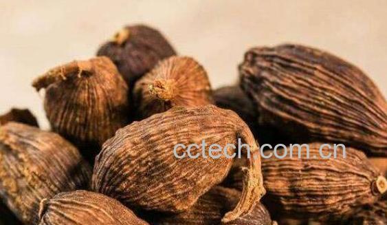 草果的功效与作用及禁忌-0