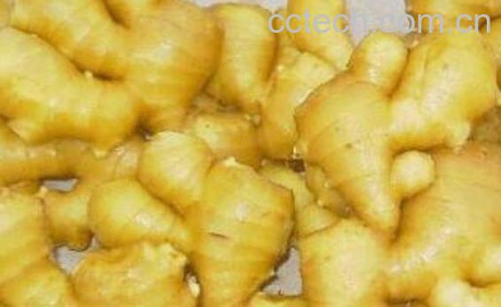 生姜对脱发的功效 生姜怎么治脱发-1