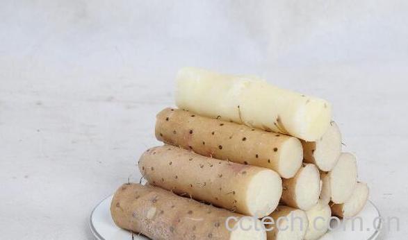 白山药的功效与作用有哪些-1