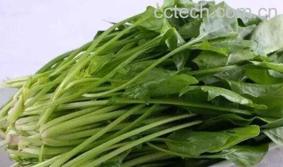 菠菜怎么做好吃又营养-0