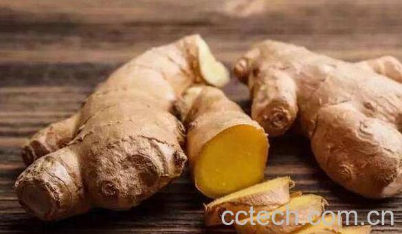 冬姜的作用与功效-0