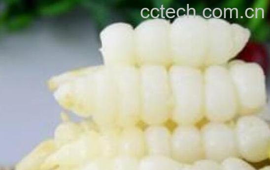 宝塔菜与地参的区别 吃宝塔菜的好处-1