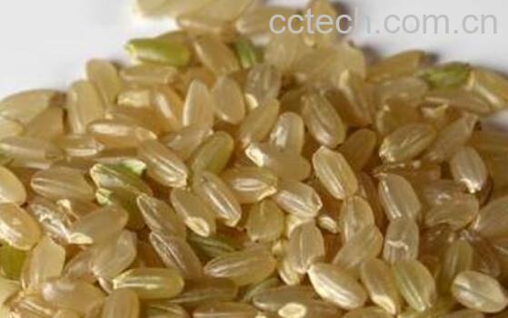 糙米芽的功效与作用-0