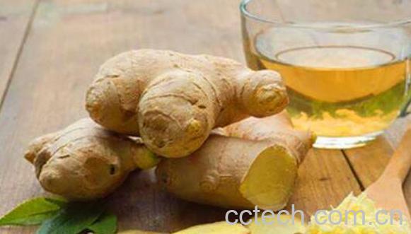 斑秃擦生姜正确方法 斑秃擦生姜的作用-1