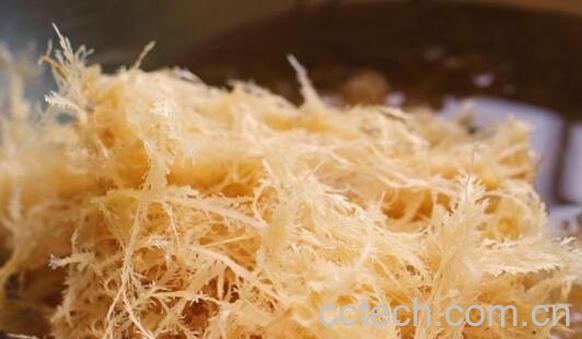 海龙须菜的功效与作用-1