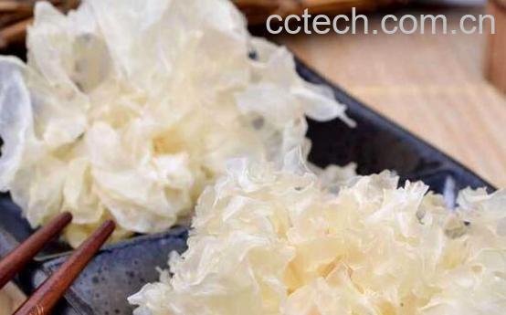 白木耳的功效与作用有哪些-1