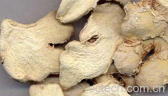中药干姜的功效与作用及禁忌-0
