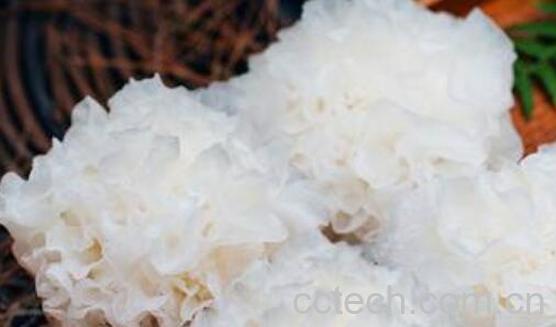 银耳为什么不能天天吃 吃银耳的副作用与禁忌-1