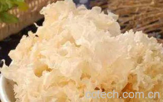 银耳为什么不能天天吃 吃银耳的副作用与禁忌-0